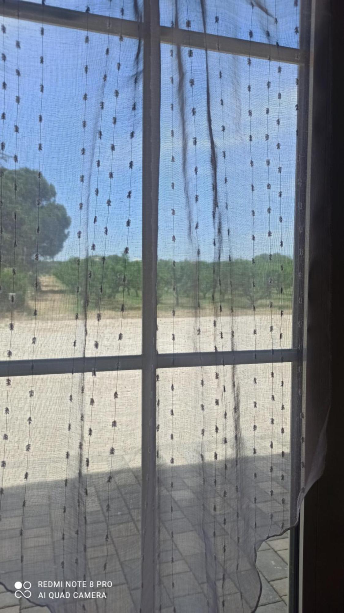 Agriturismo L' Annunziata ليتسانو الغرفة الصورة