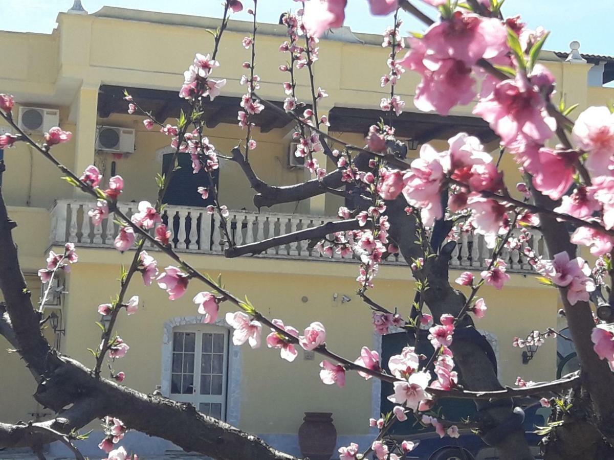 Agriturismo L' Annunziata ليتسانو المظهر الخارجي الصورة